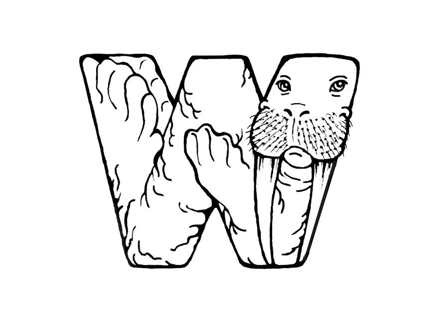 w-walrus Malvorlage w-walrus