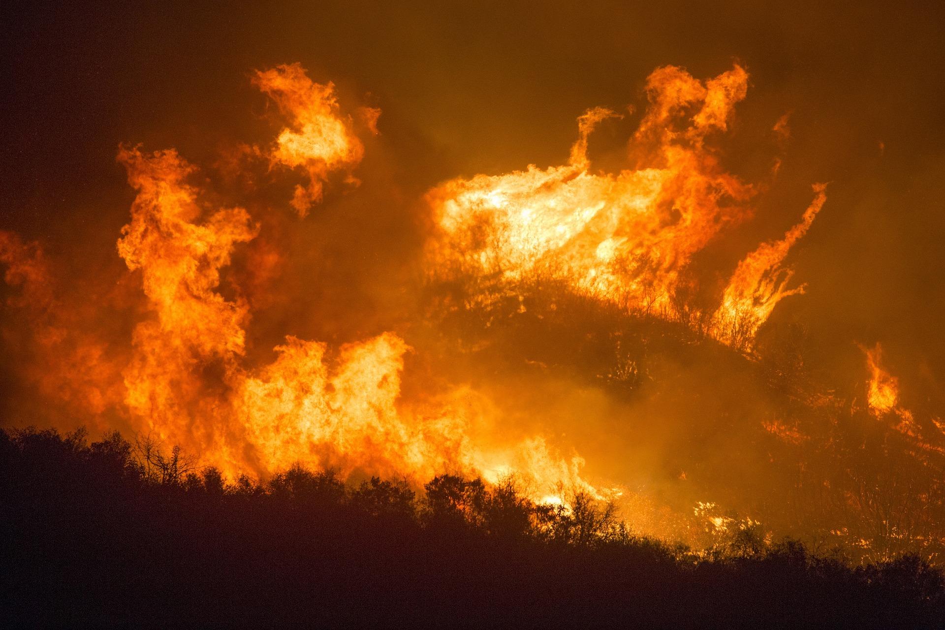 waldbrand Foto waldbrand