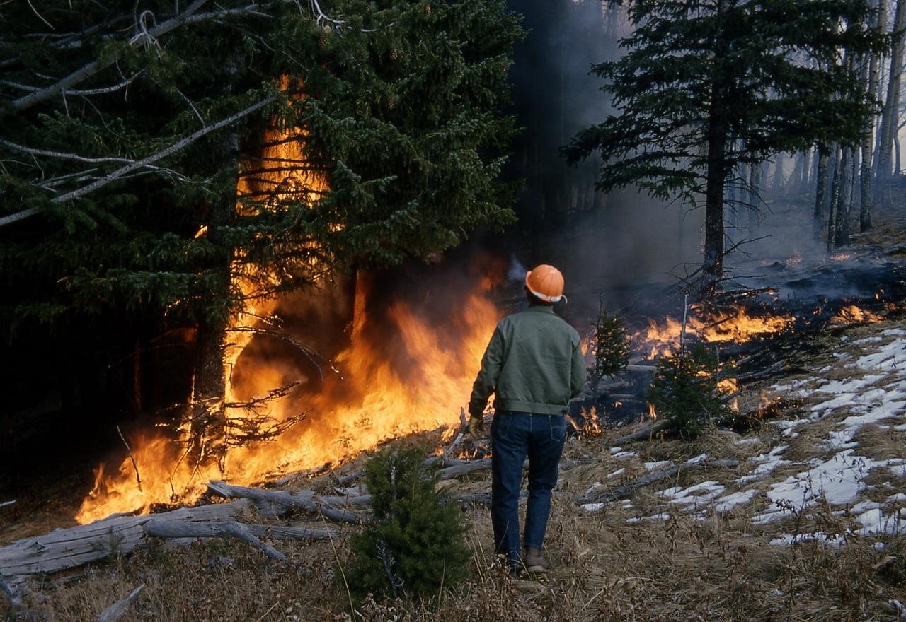 waldbrand Foto waldbrand