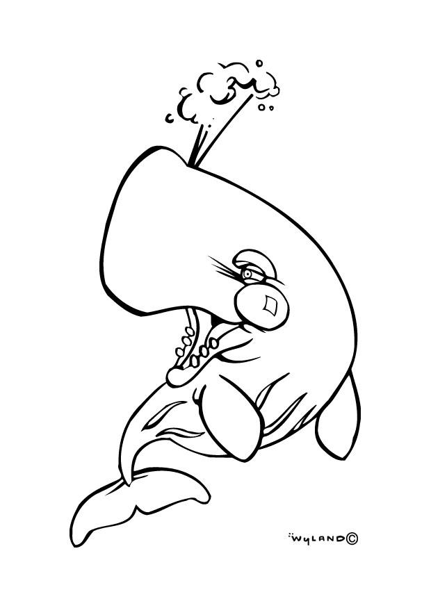 Malvorlage walfisch
