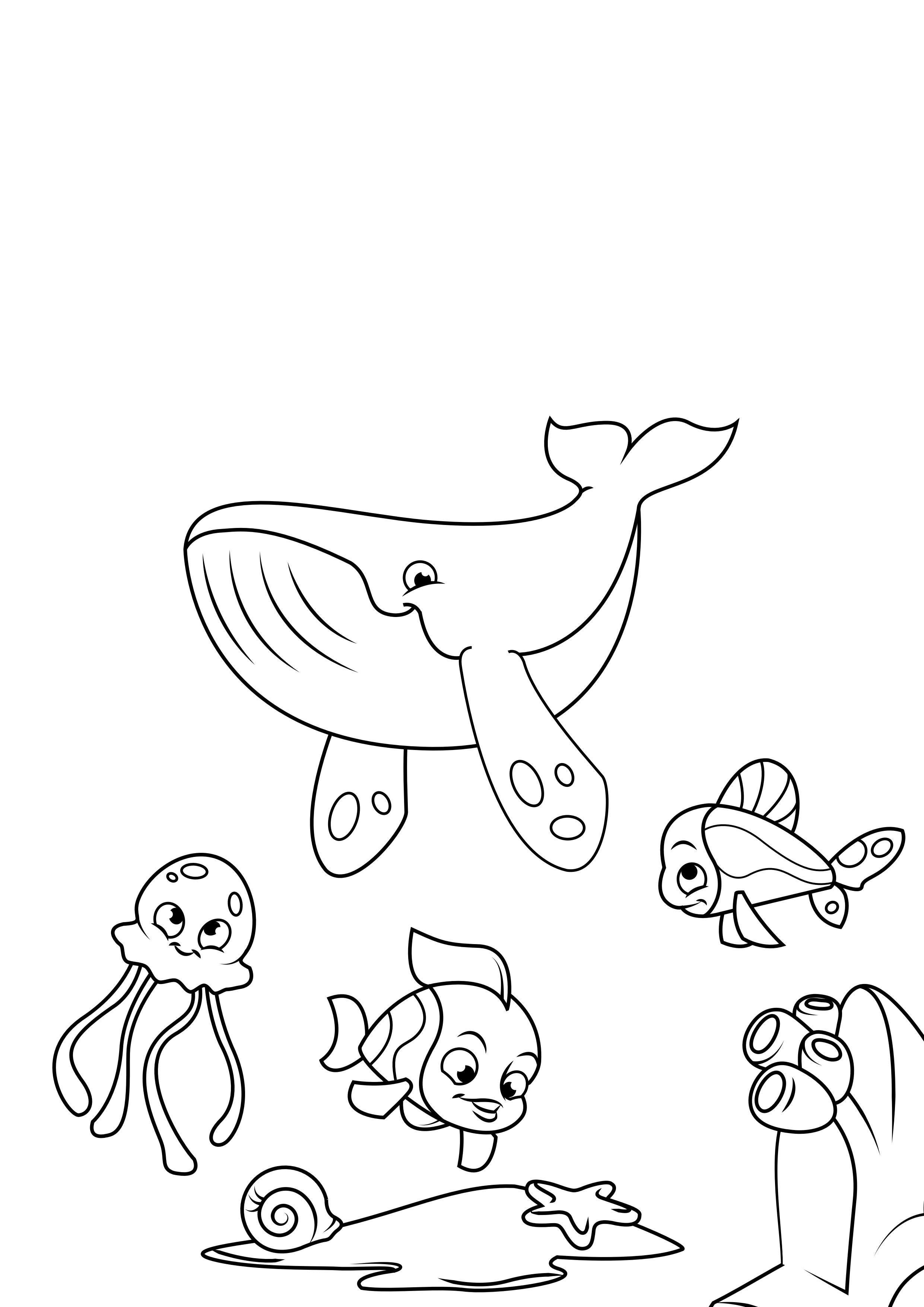 walkrake und fisch Malvorlage walkrake und fisch