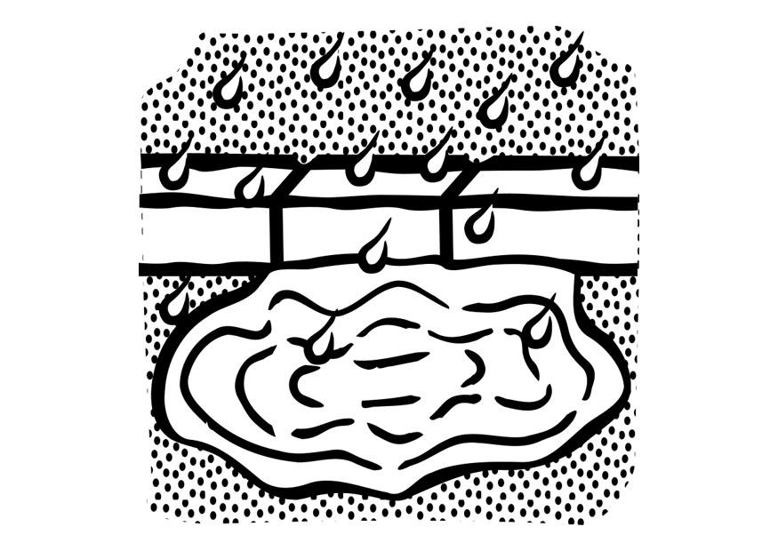 wasserpfA¼tze Malvorlage wasserpfA¼tze