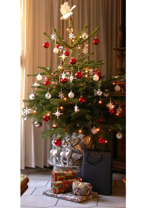 weihnachtsbaum Foto weihnachtsbaum