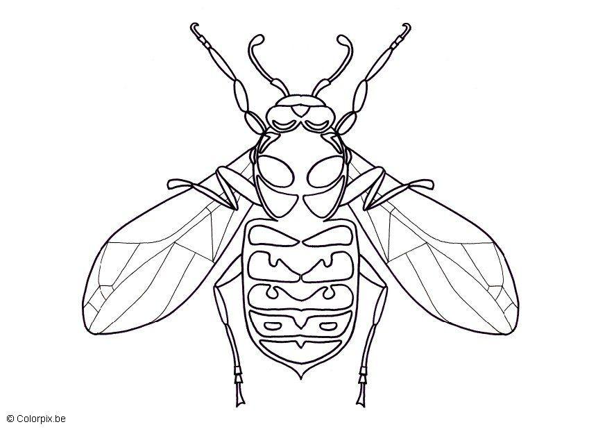 wespe Malvorlage wespe