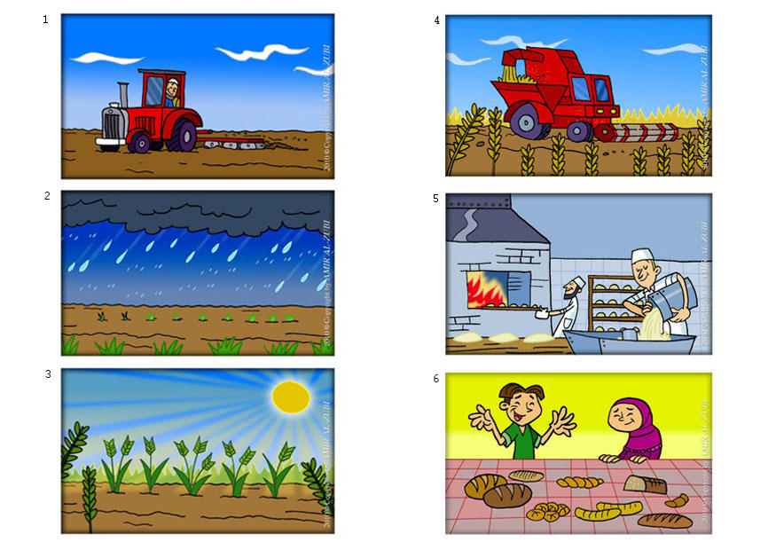 wie brot gemacht wird Bild wie brot gemacht wird