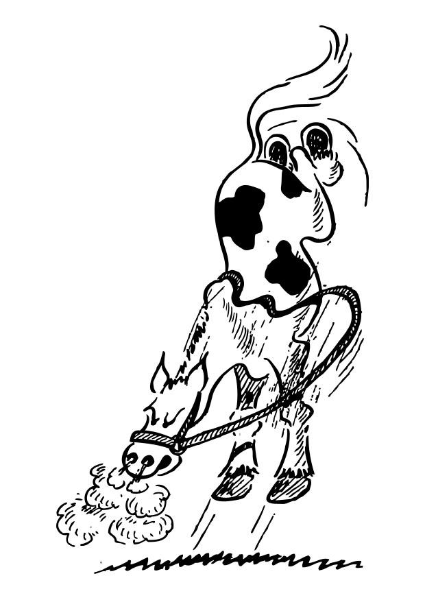 Malvorlage wildes pferd