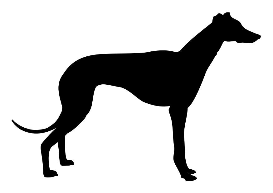 windhund Malvorlage windhund