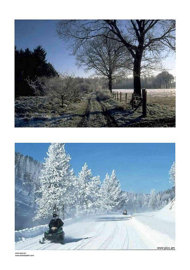winter 1 Foto winter 1