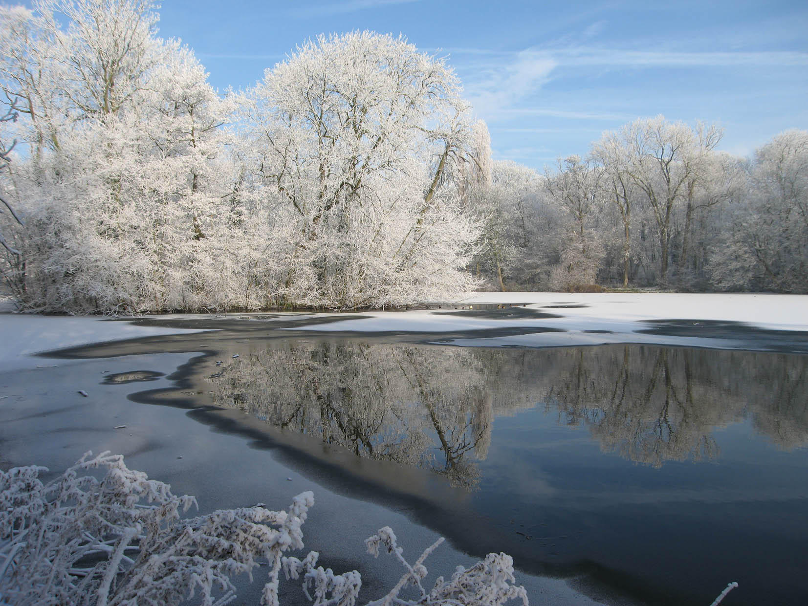 winter Foto winter