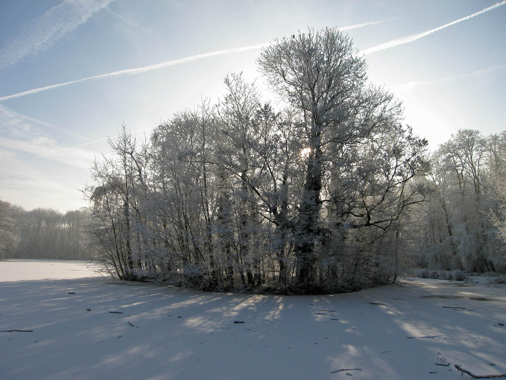 winter Foto winter