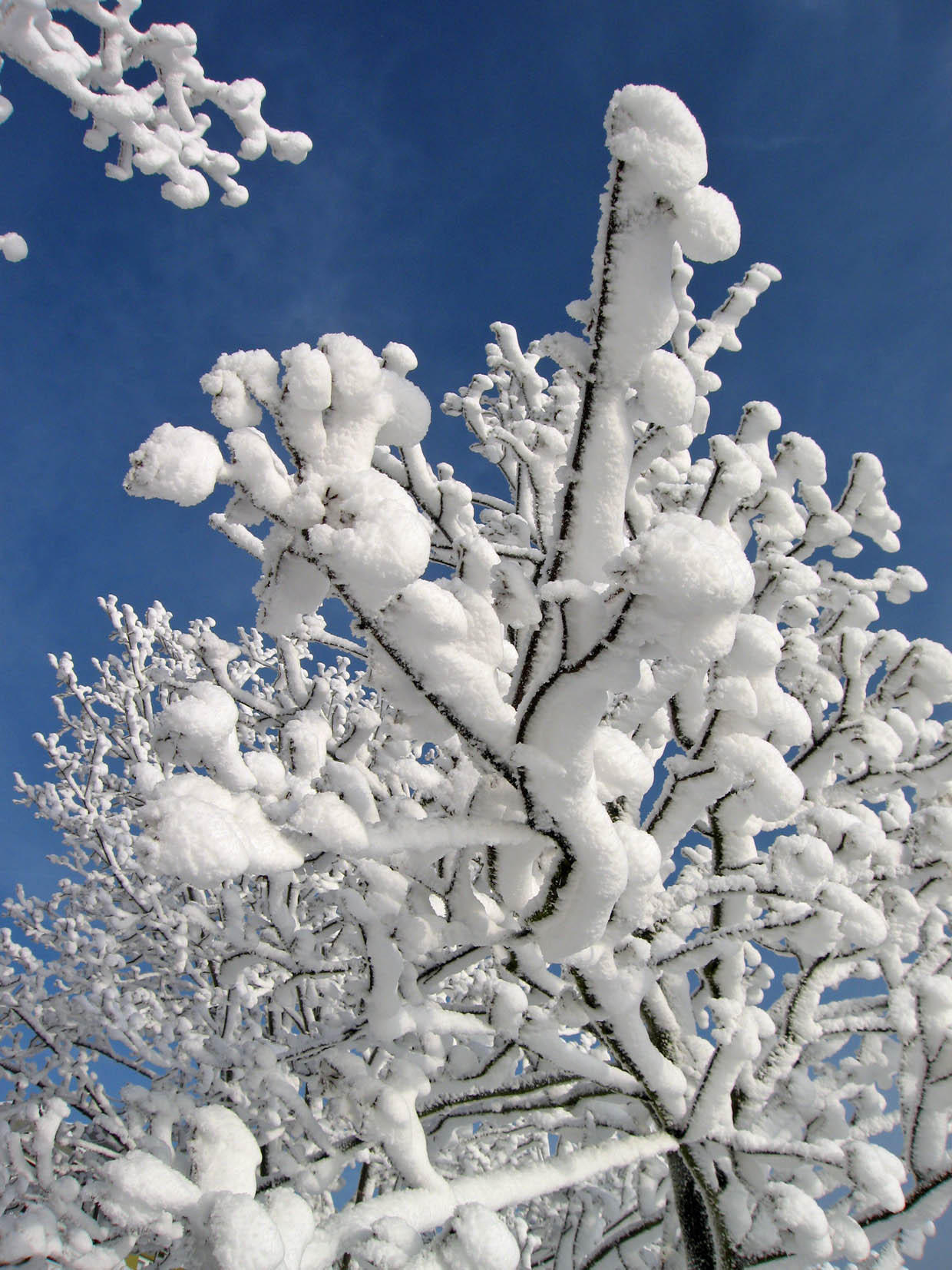 winter7 Foto winter7