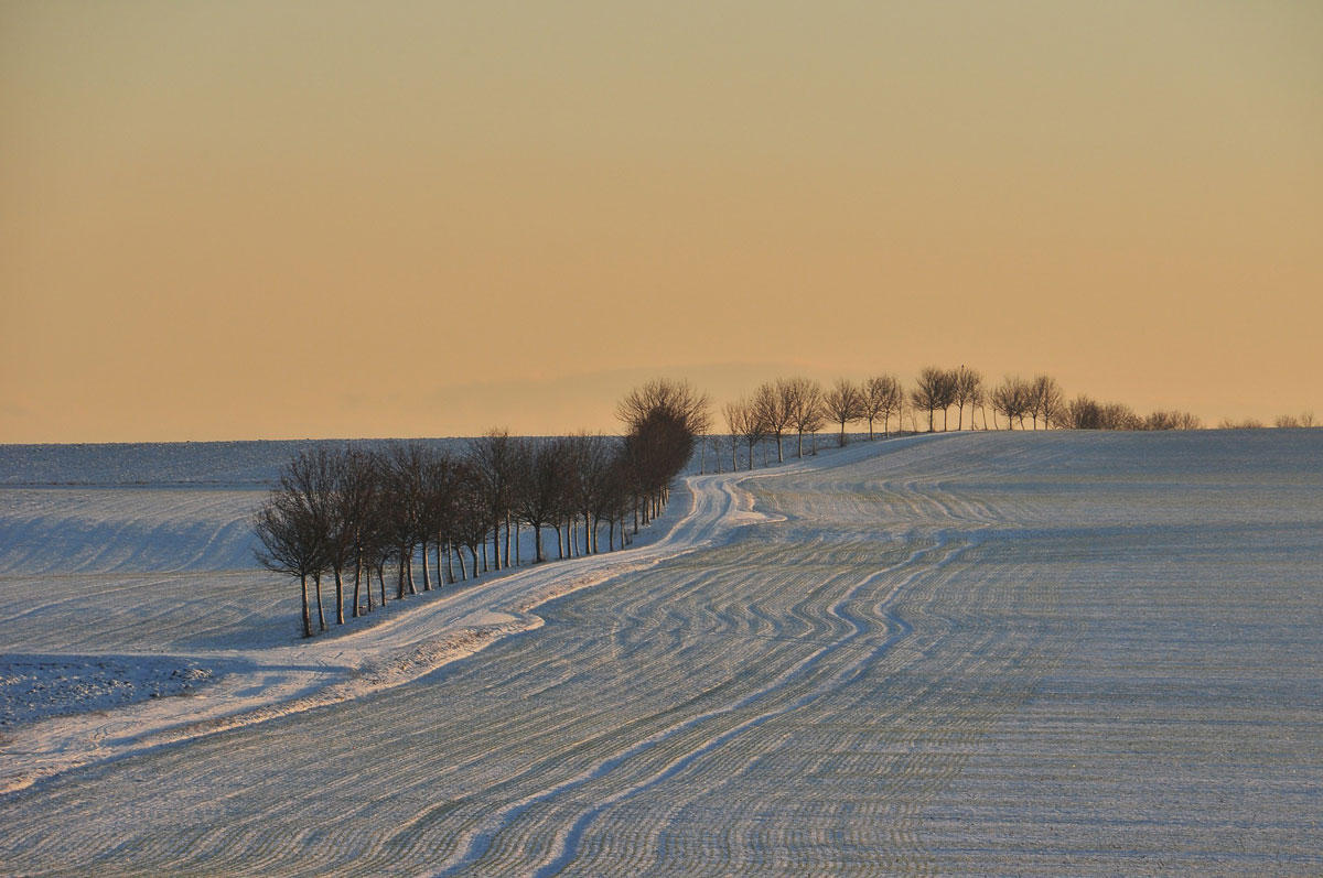 winterszene Foto winterszene