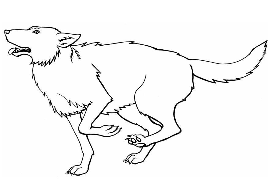 wolf Malvorlage wolf