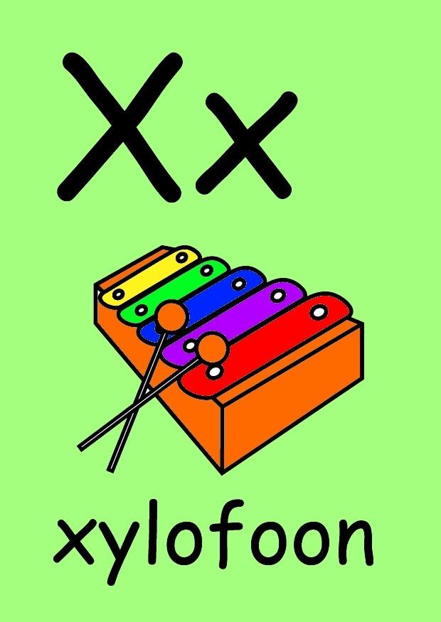 x Bild x