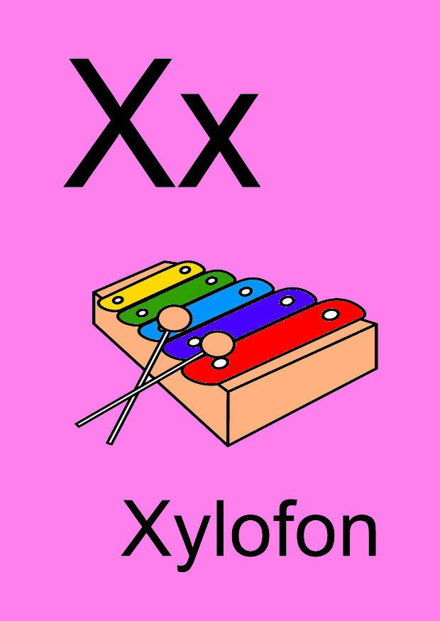 x Bild x