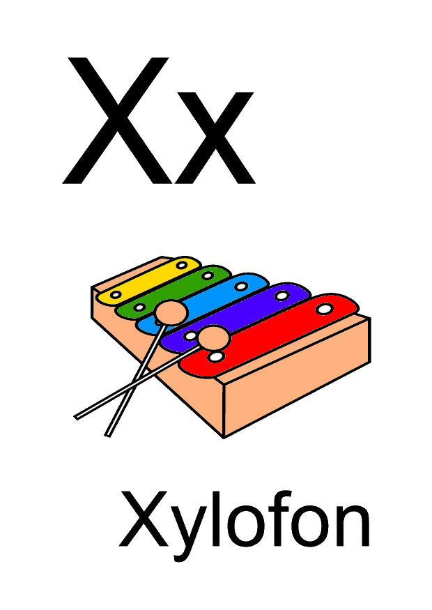 x Bild x