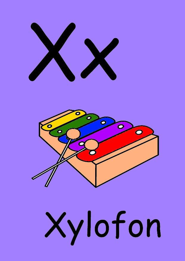 x Bild x