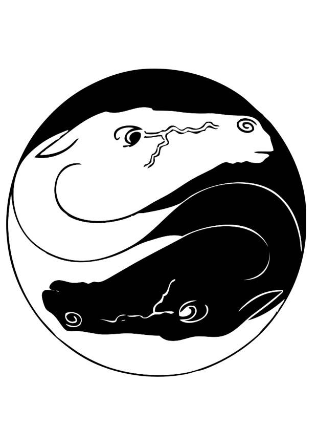 ying yang pferde Malvorlage ying yang pferde
