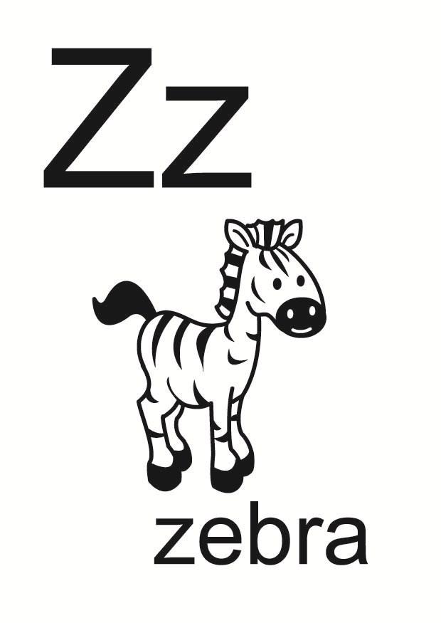 z Bild z