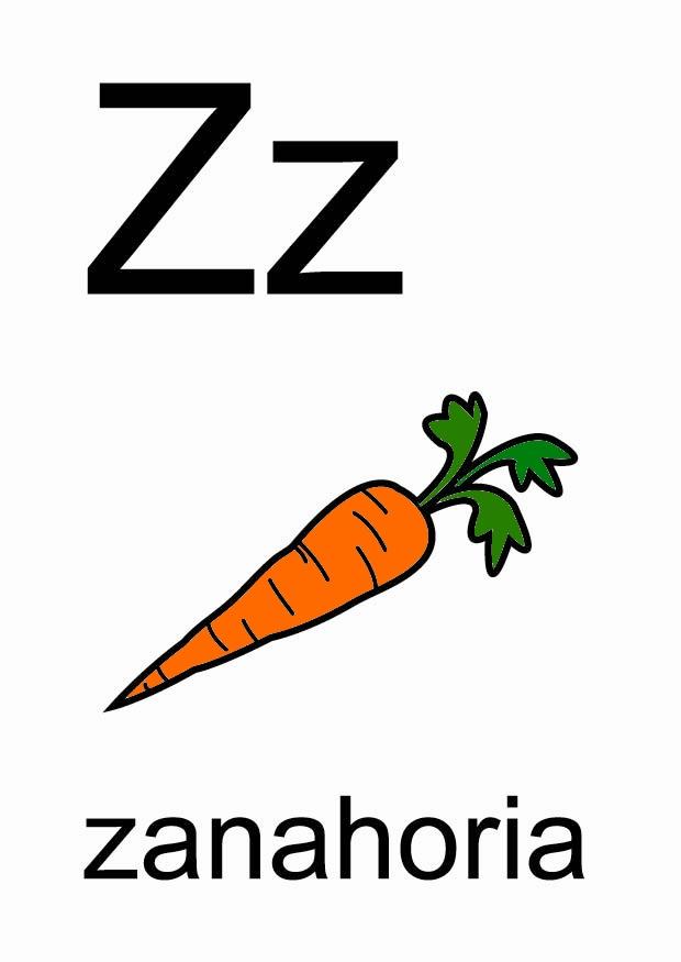 z Bild z