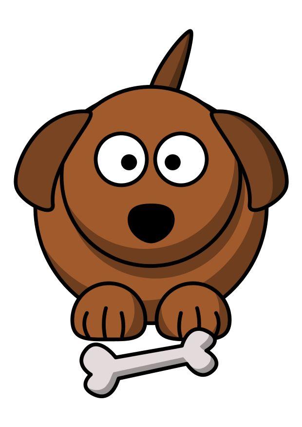 z1-hund Bild z1-hund