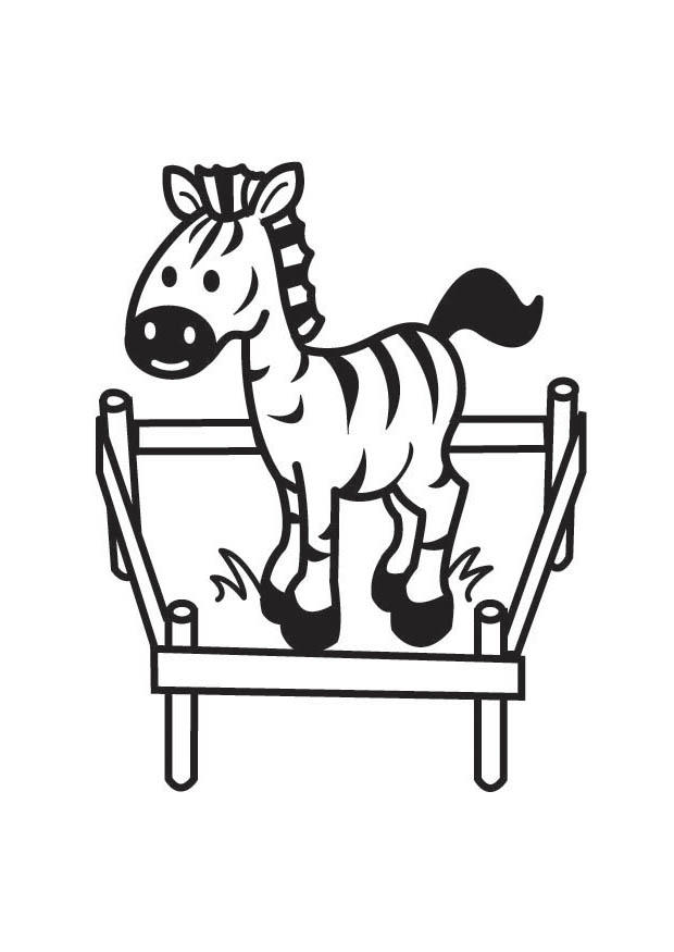 Malvorlage zebra