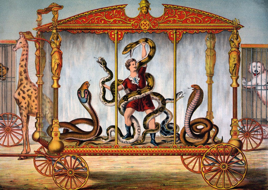 zirkus Bild zirkus