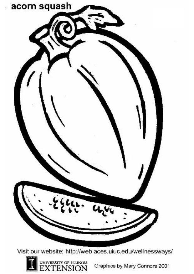 zucchini Malvorlage zucchini