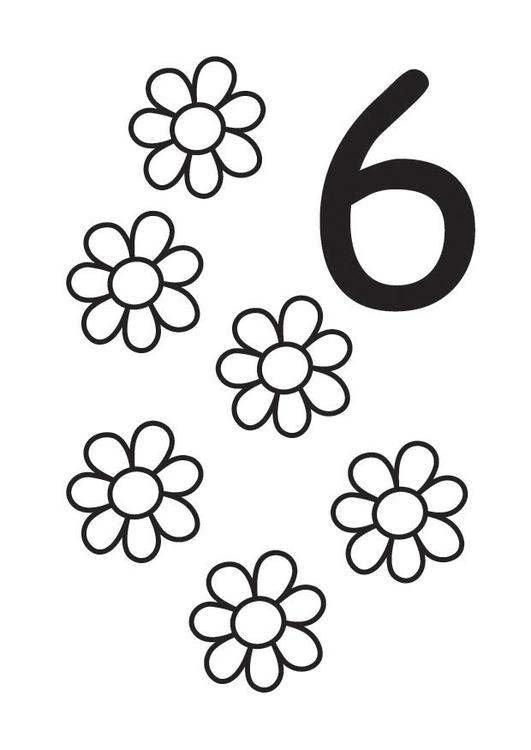 6