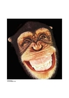 Foto affe 