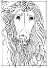 Malvorlage  Afghanischer Windhund