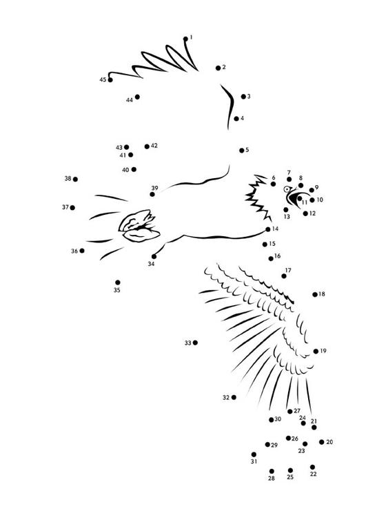 amerikanischer Seeadler