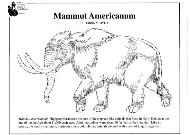 Malvorlage  amerikanisches Mammut