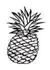 Malvorlage  Ananas