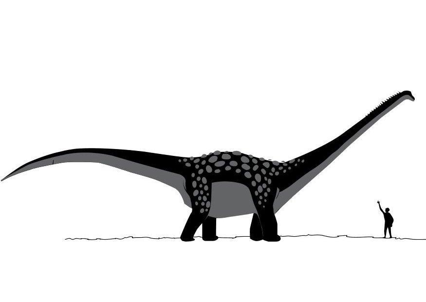 Malvorlage  Antarctosaurus