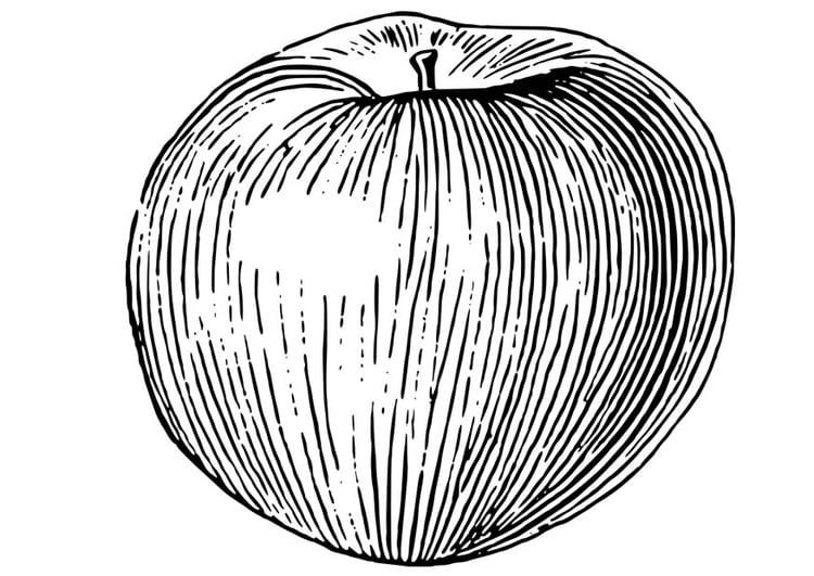 Malvorlage  Apfel