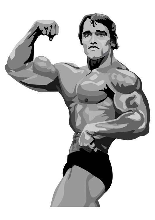 Malvorlage  Arnold Schwarzenegger