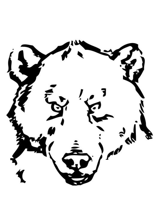 BÃ¤renkopf