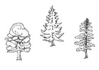 Malvorlagen Bäume