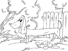 malvorlage Basset