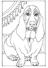 Malvorlagen Basset