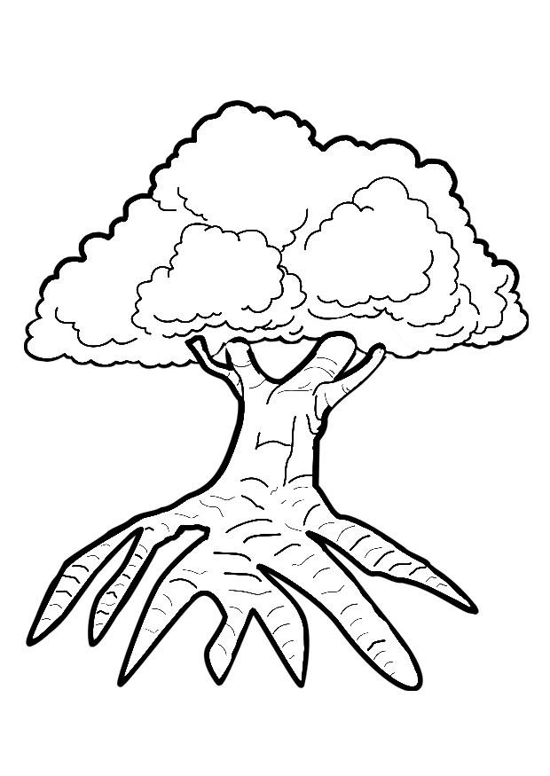 Malvorlage Baum Kostenlose Ausmalbilder Zum Ausdrucken