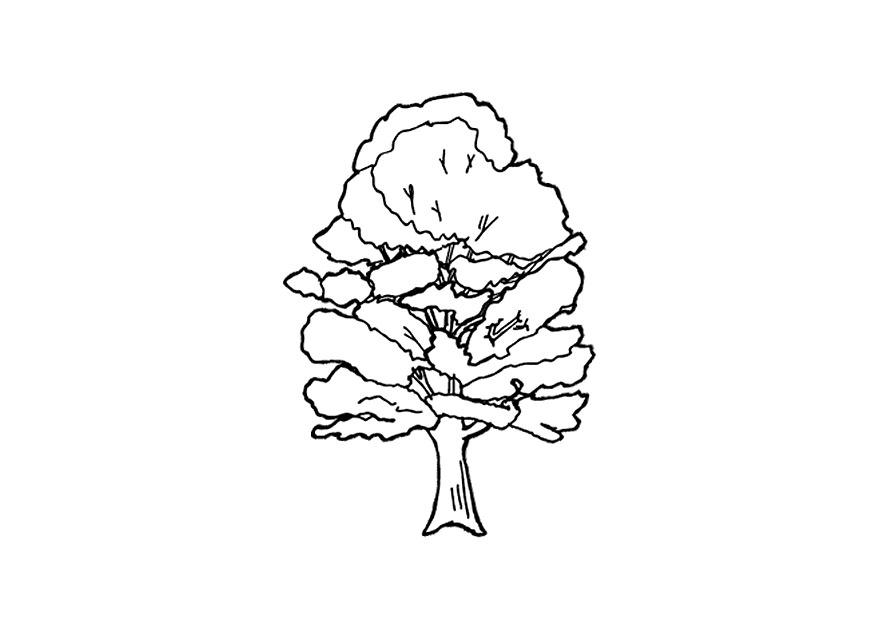 Malvorlage Baum Kostenlose Ausmalbilder Zum Ausdrucken