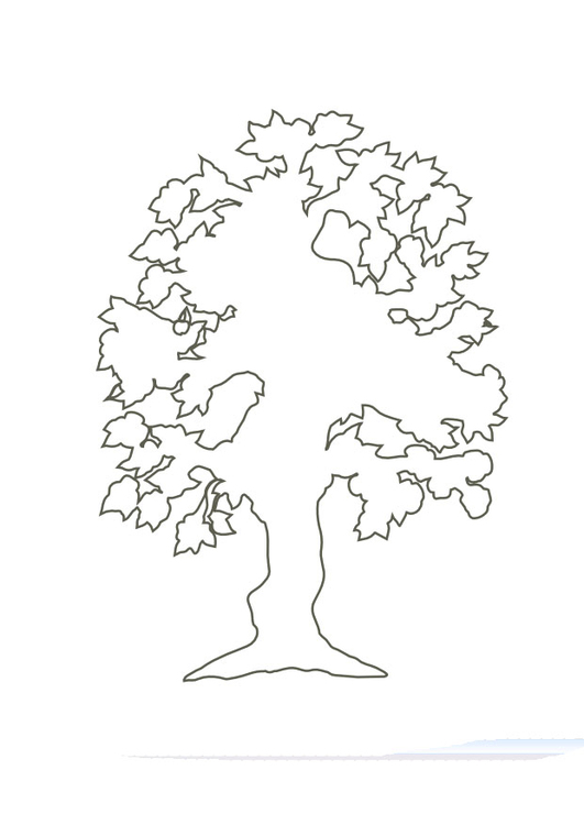 Malvorlage  Baum