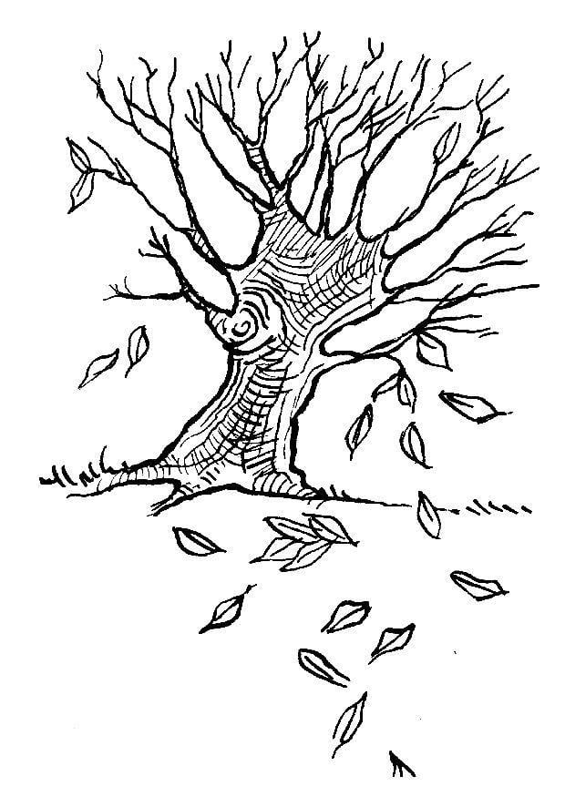 Malvorlage  Baum im Herbst