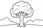 Malvorlage baum