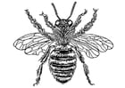 Malvorlagen Bienenkönigin