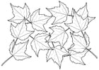 Malvorlagen Blätter