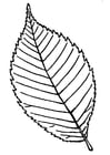 Malvorlage  Blatt