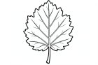 Blatt